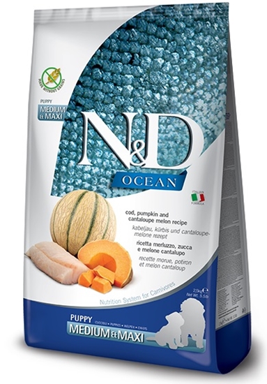 Picture of N&D Ocean Puppy Medium/Maxi – Cod, Pumpkin & Melon